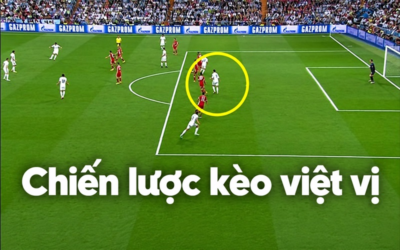 Chiến lược và cách chơi kèo Việt Vị hiệu quả ngay lần đầu