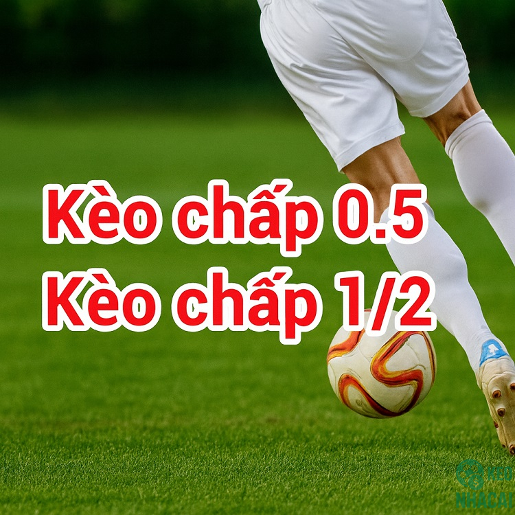 Kèo 0.5 là gì? Kèo 0.5 là gì?