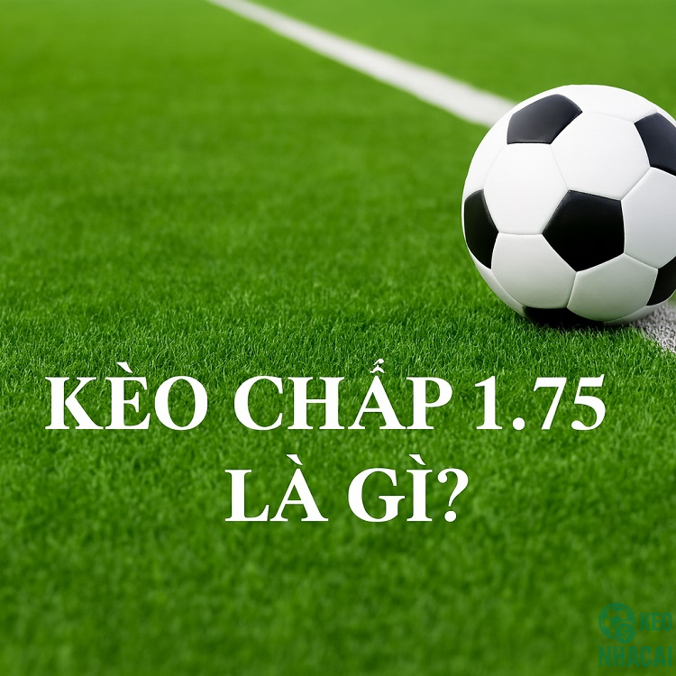 Khái niệm cơ bản về kèo 1.75 Khái niệm cơ bản về kèo 1.75