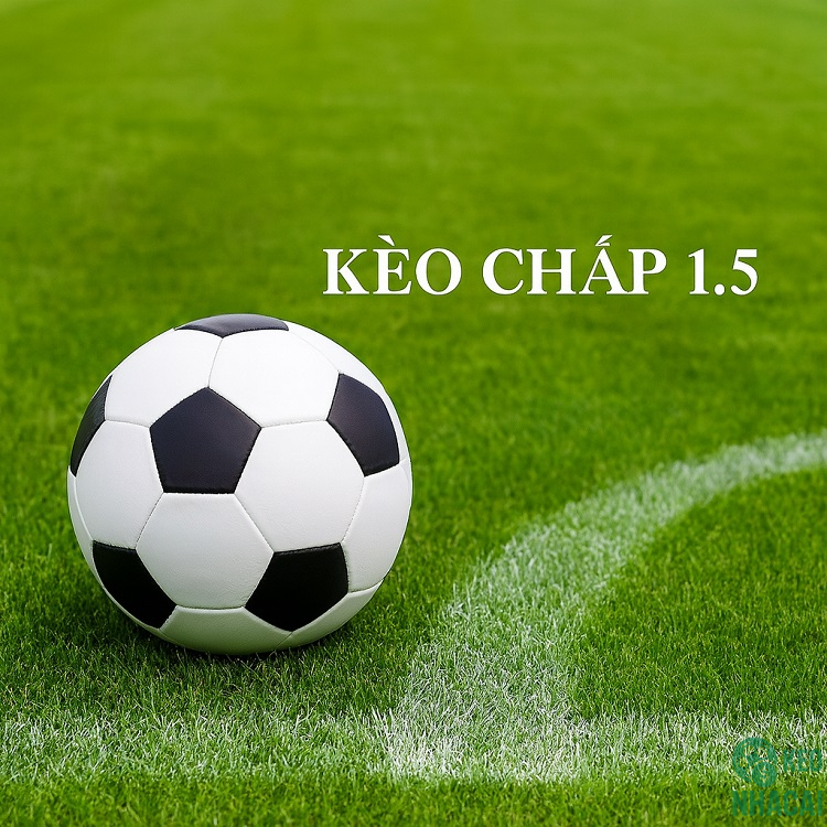 Khái niệm kèo chấp 1.5 trái Khái niệm kèo chấp 1.5 trái