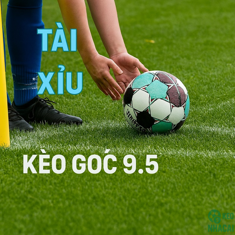Không chơi theo cảm tính