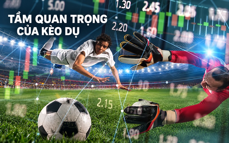 Nhận diện kèo Dụ có tầm quan trọng thế nào Nhận diện kèo Dụ có tầm quan trọng thế nào