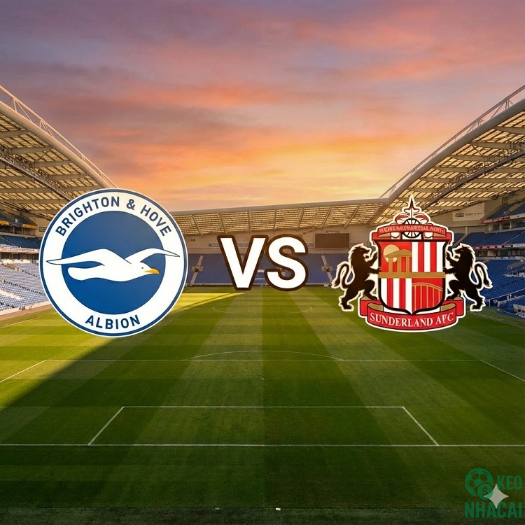 Soi kèo Brighton vs Sunderland 22h00 Soi kèo Brighton vs Sunderland 22h00
