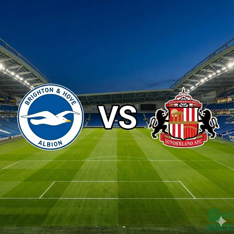 Soi kèo Brighton vs Sunderland 22h00 Soi kèo Brighton vs Sunderland 22h00