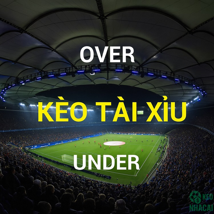 Tín hiệu từ kèo Tài Xỉu Tín hiệu từ kèo Tài Xỉu